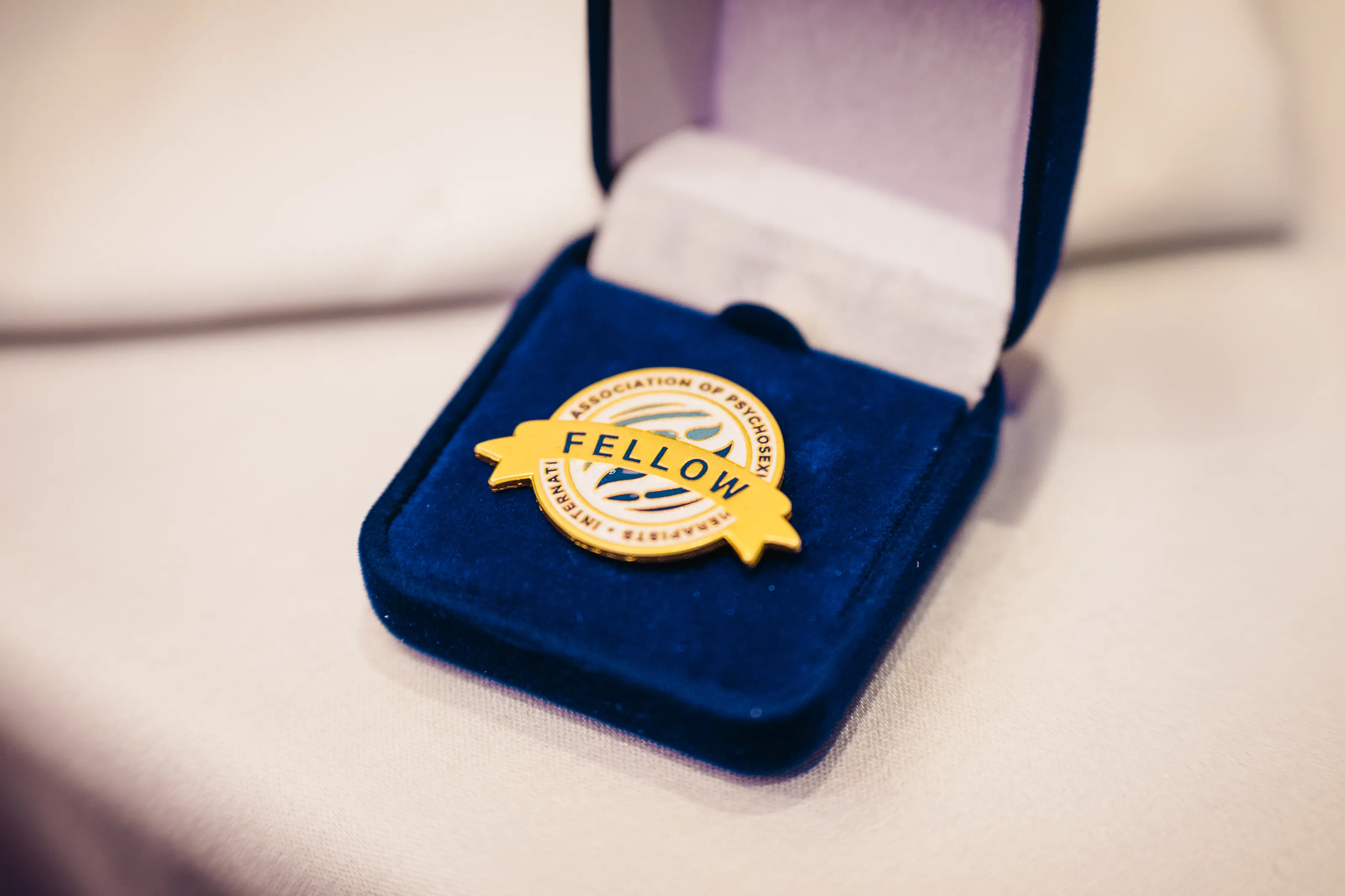IAPST Fellow Pins